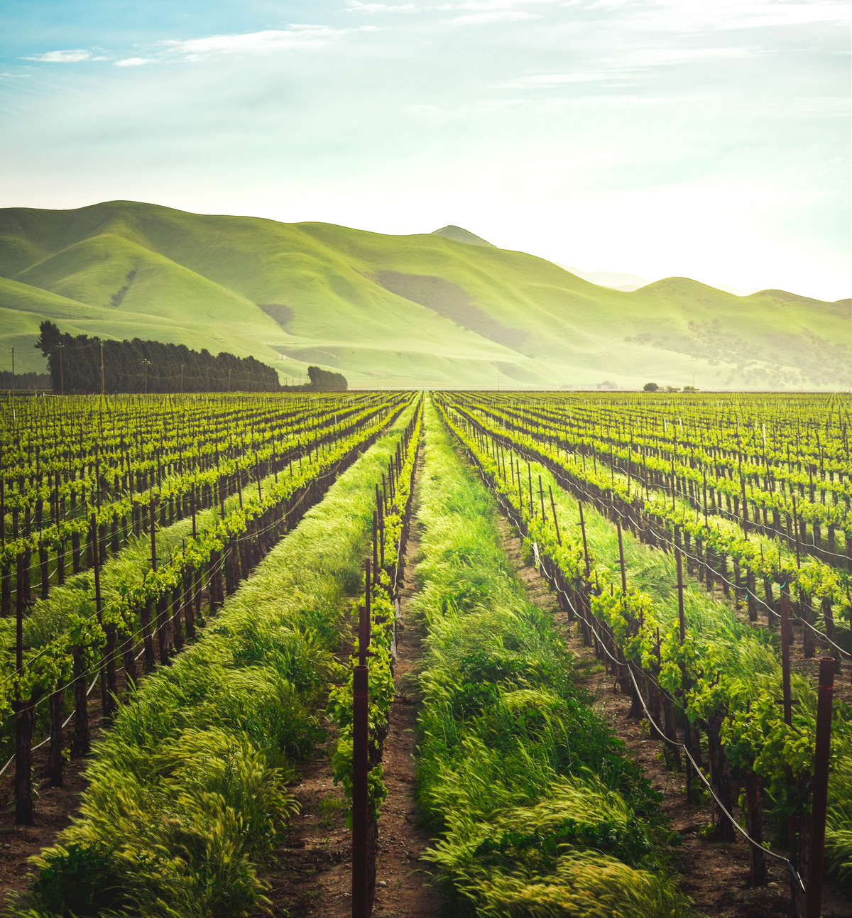 Smart Farming